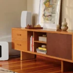 Costco Is Quietly Selling a Specialty Sonos Speaker Way Below Its Retail Price